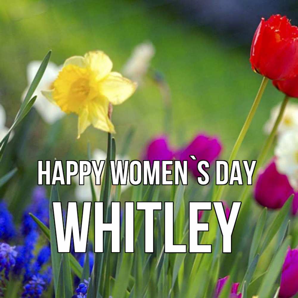 Greetings card с именем, Whitley happy women`s day международный женский день 3 Greetings with text for free download 